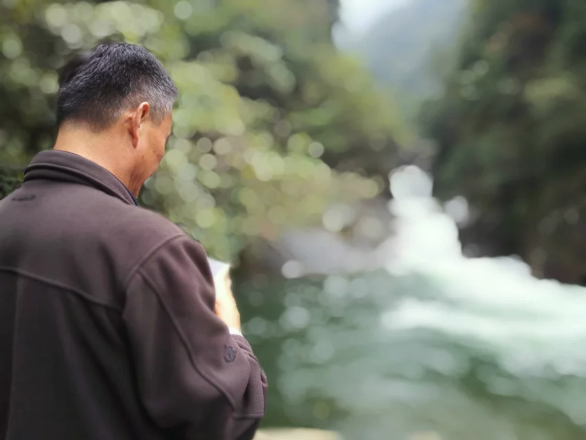 qlf_0013.webp