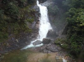 qlf_0067.webp