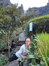 qlf_0097.webp