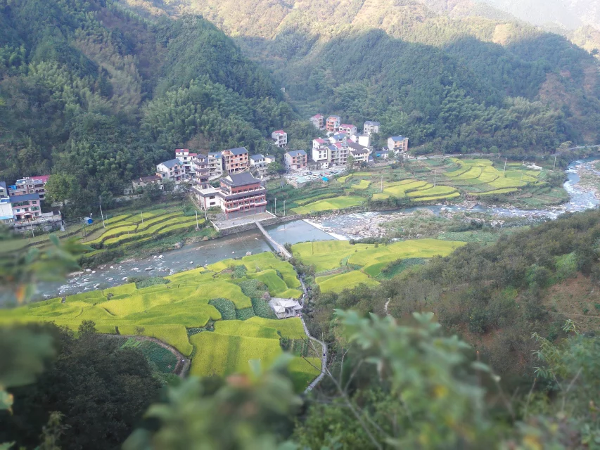 qlf_0210.webp