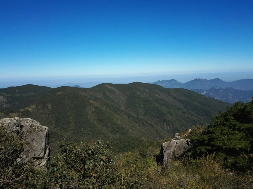 qlf_0239.webp