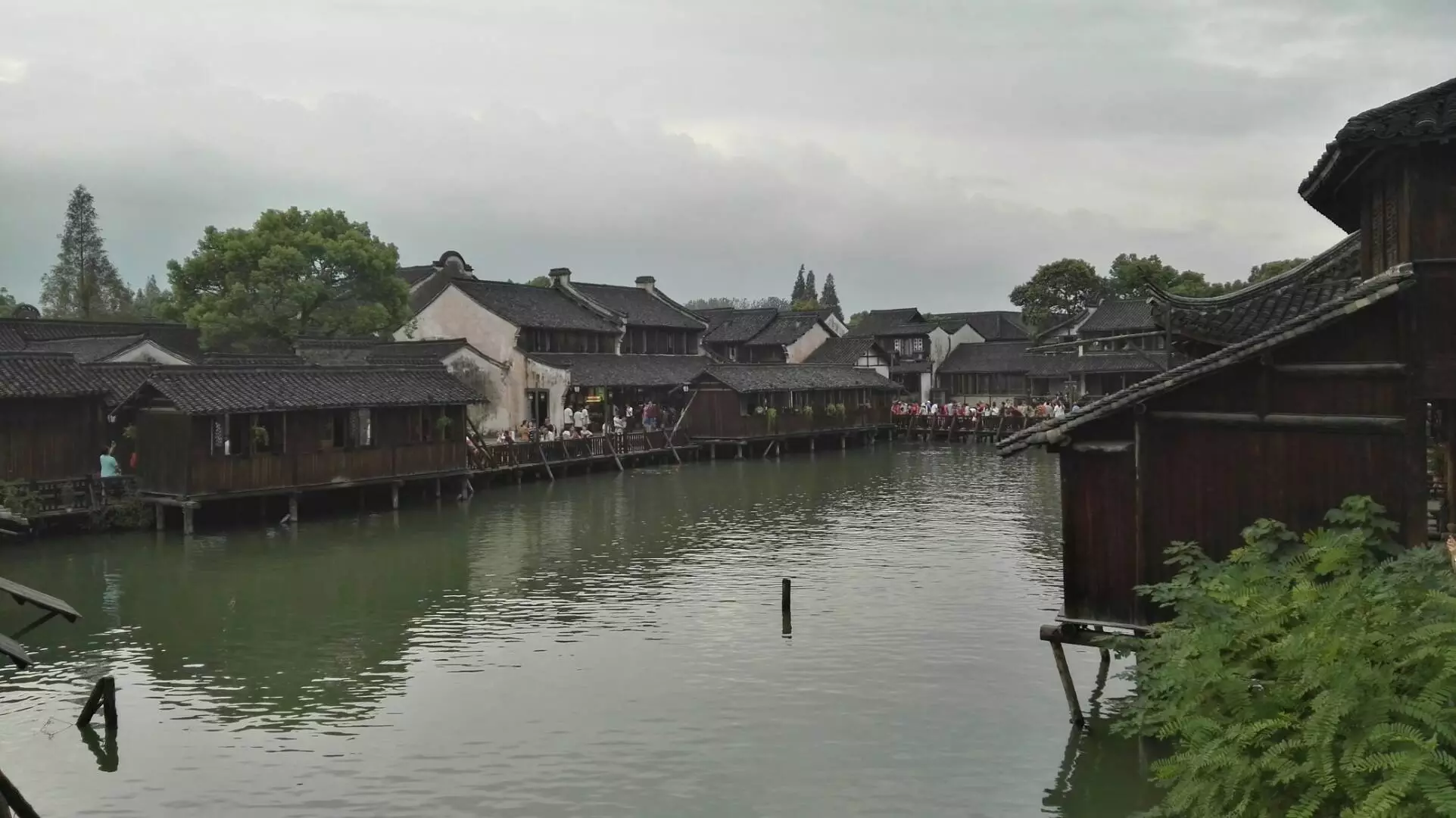 zqwz_0013.webp