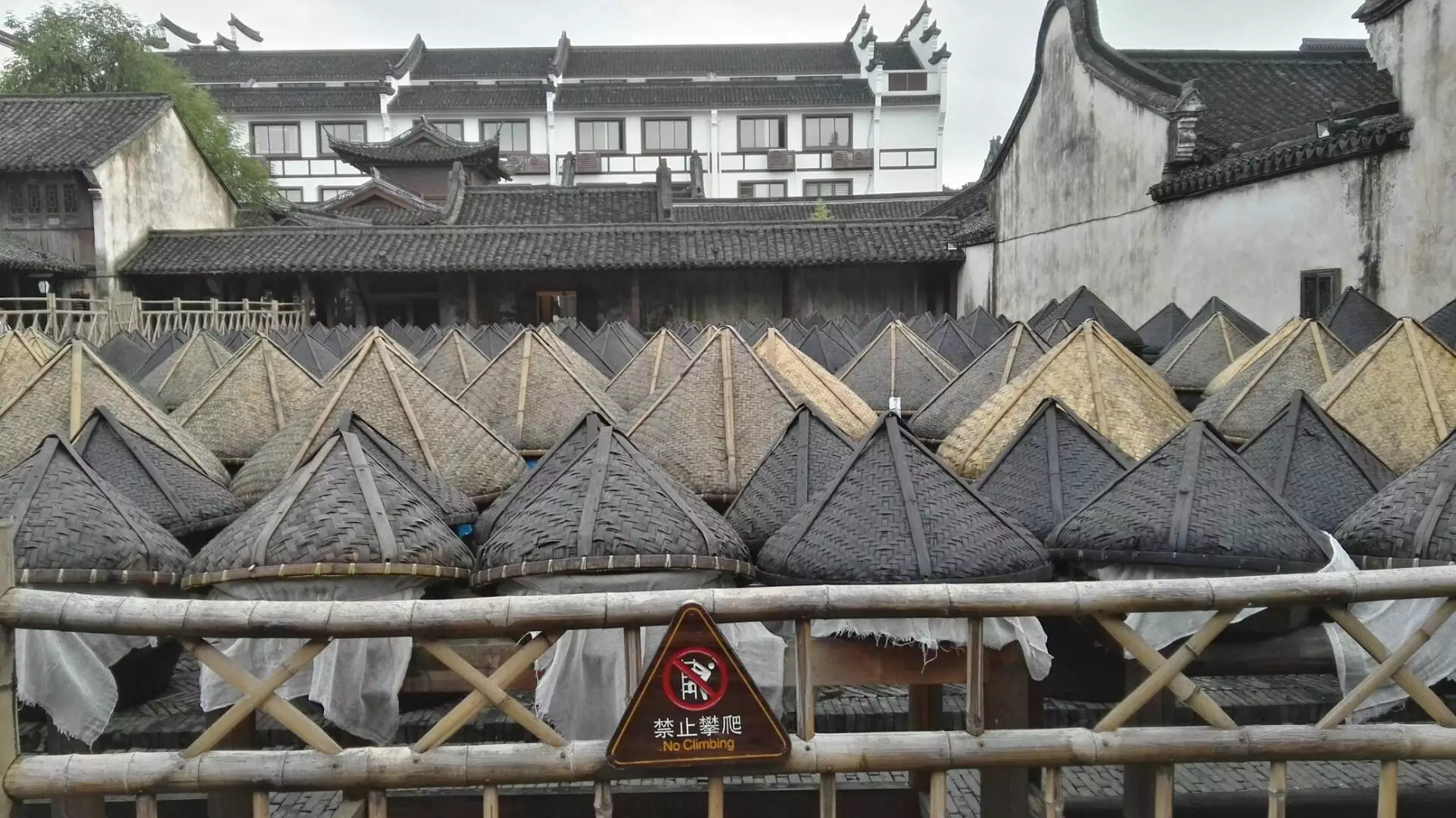 zqwz_0015.webp