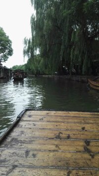 zqwz_0030.webp