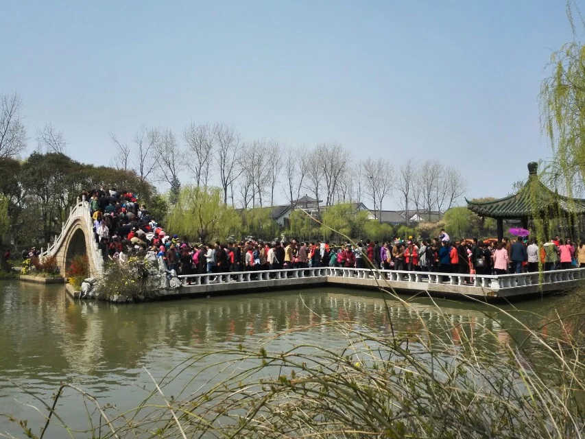 yz_0015.webp