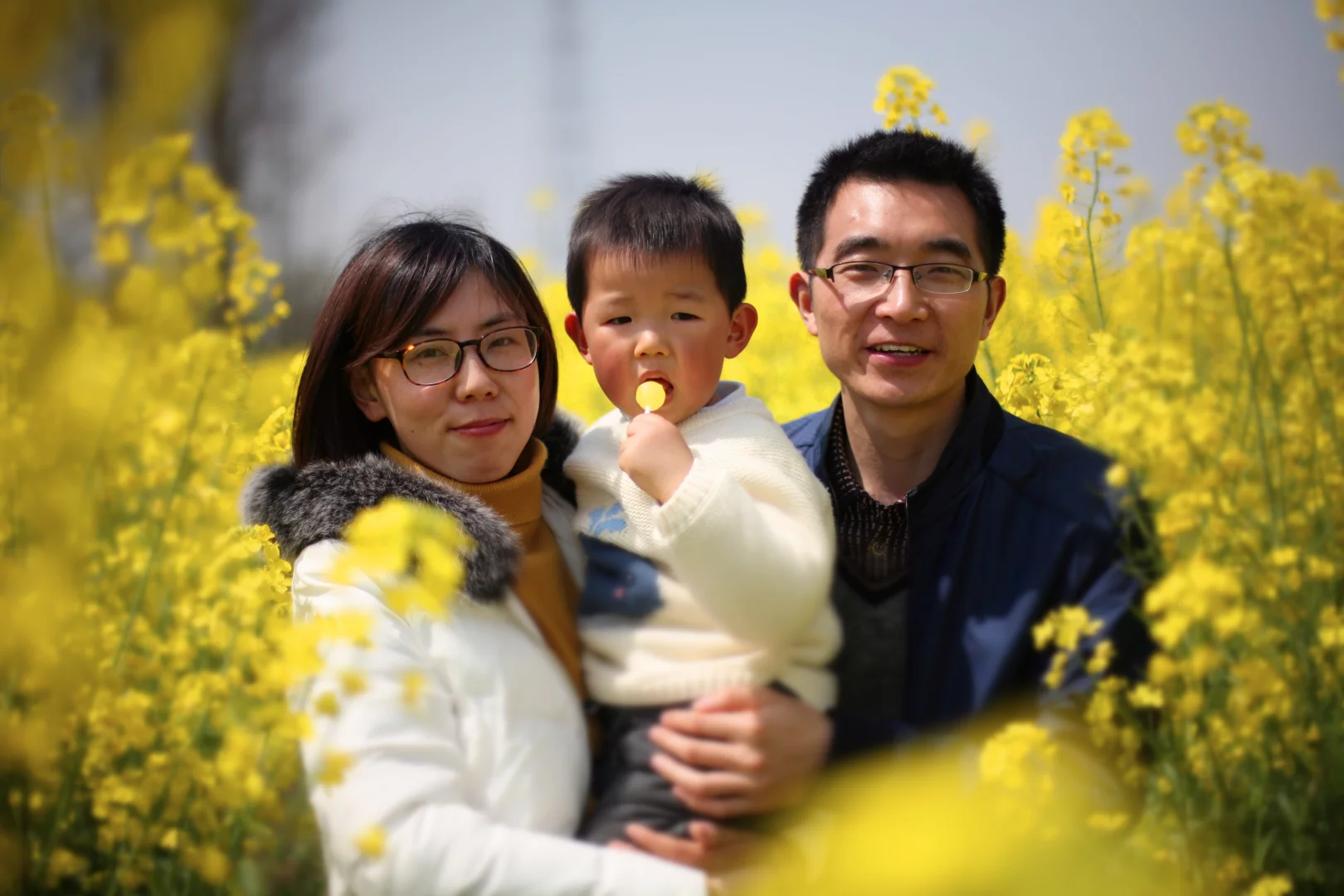 zj_0006.webp
