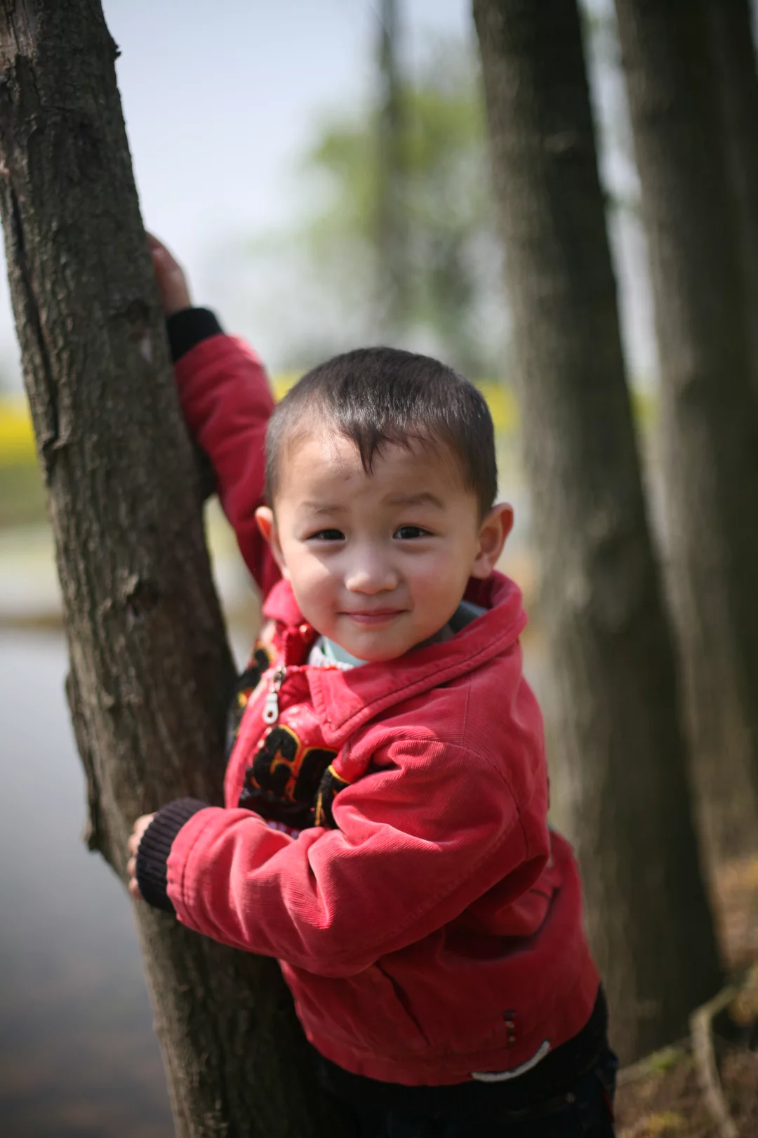 zj_0017.webp