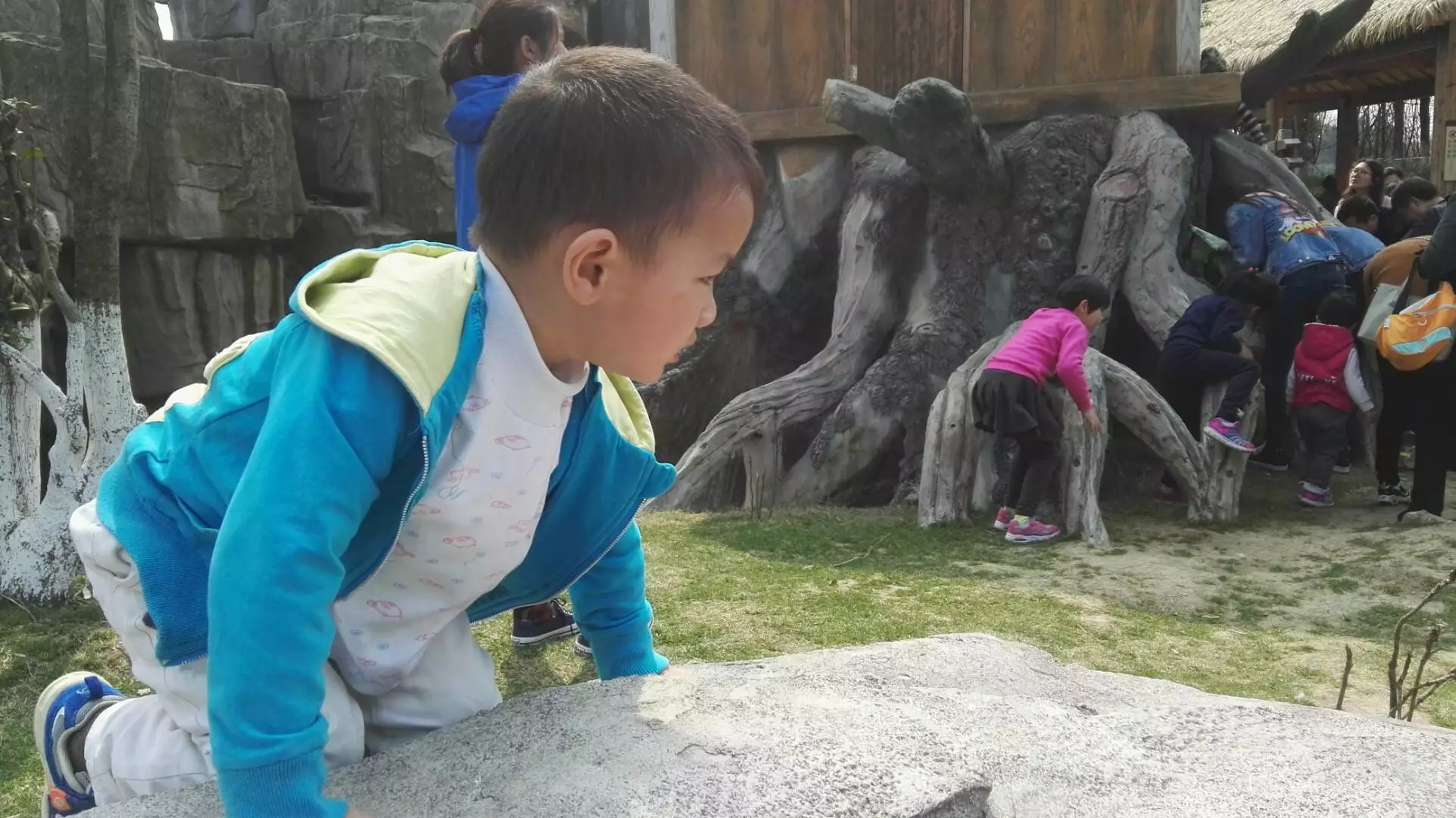 cz_0006.webp