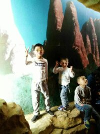 cz_0021.webp