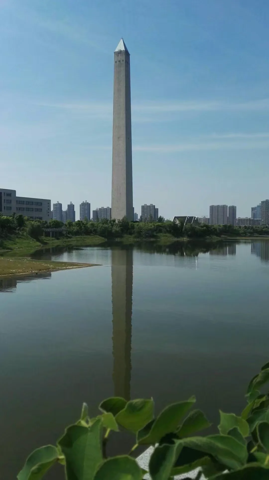 jj_0001.webp