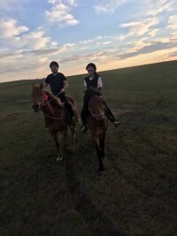 hlbe2_0111.webp