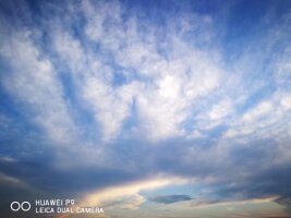 hlbe2_0194.webp