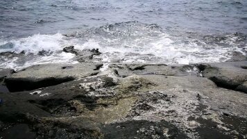 bhwzd_0006.webp