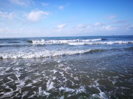 bhwzd_0070.webp