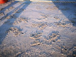 bhwzd_0078.webp