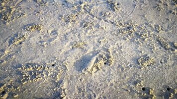 bhwzd_0079.webp