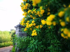bhwzd_0141.webp