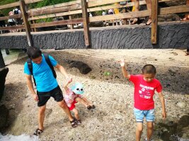 bhwzd_0166.webp