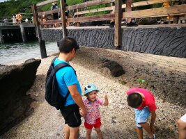 bhwzd_0167.webp