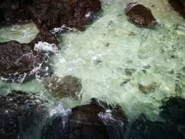 bhwzd_0169.webp