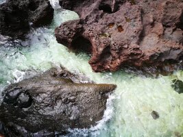 bhwzd_0170.webp