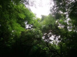 bhwzd_0214.webp