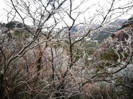 hs_0022.webp