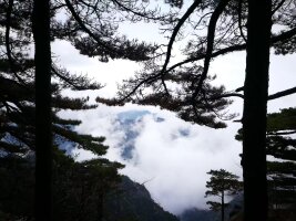 hs_0036.webp