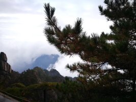 hs_0039.webp