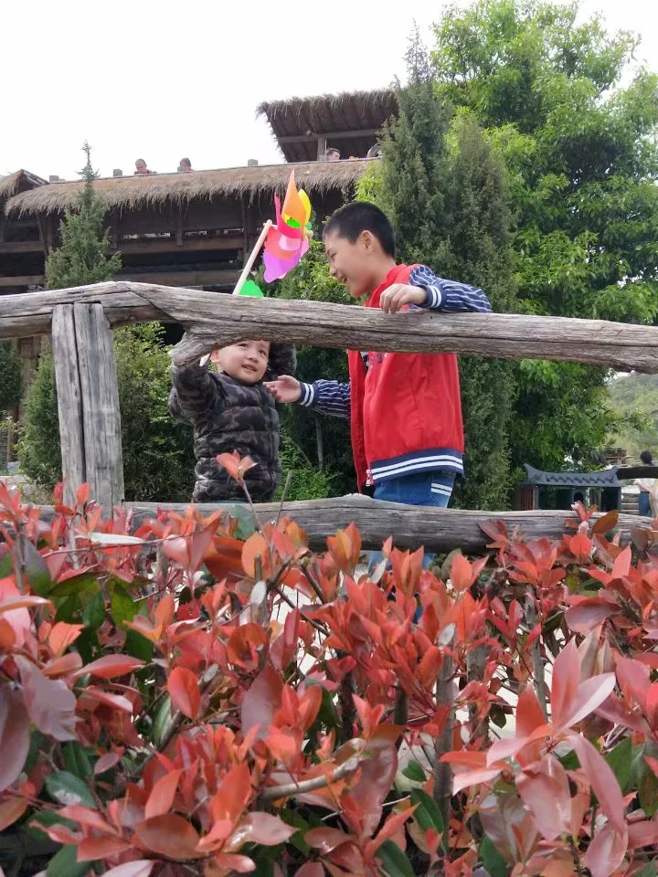 wy_0010.webp