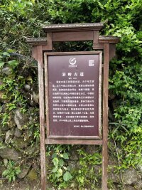 jxsg_0018.webp