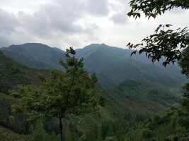 jxsg_0020.webp