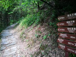 jxsg_0035.webp