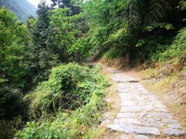 jxsg_0036.webp