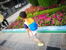 gs_0061.webp