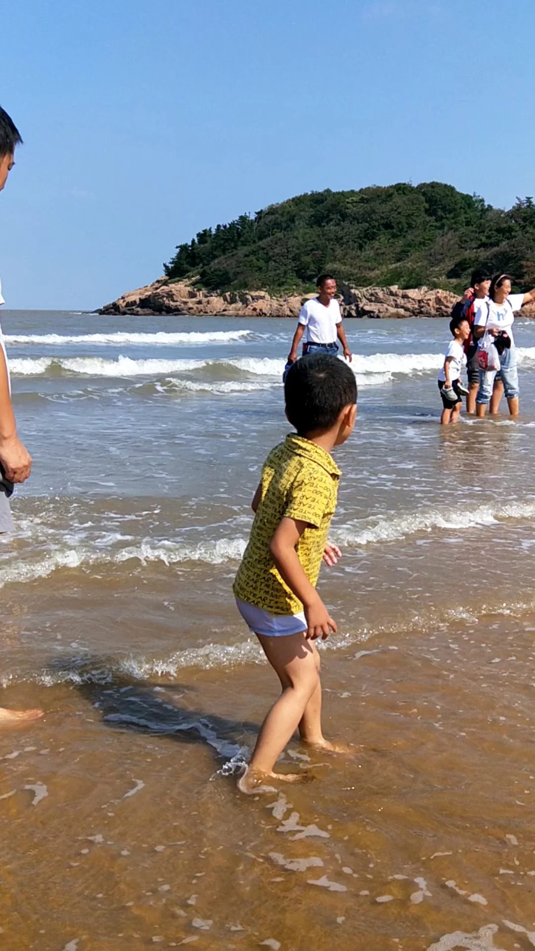 zs_0009.webp