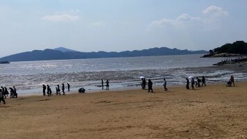 zs_0013.webp