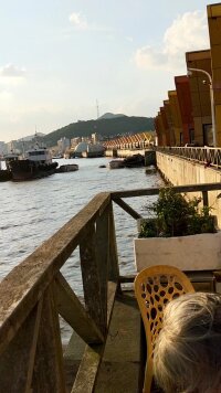 zs_0014.webp