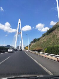 zs_0017.webp