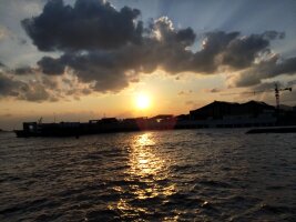 zs_0026.webp