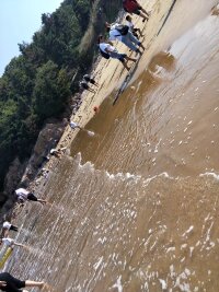 zs_0038.webp