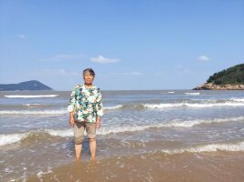 zs_0040.webp