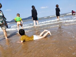 zs_0049.webp
