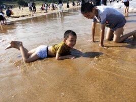 zs_0052.webp