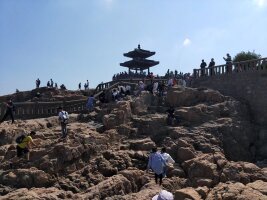 zs_0064.webp