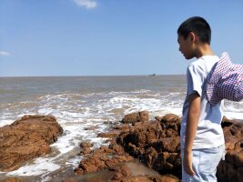 zs_0065.webp