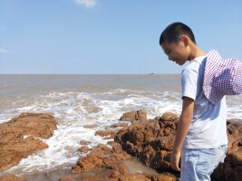 zs_0066.webp