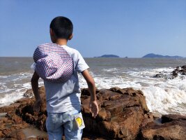 zs_0067.webp