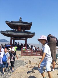zs_0069.webp