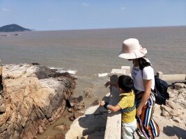 zs_0080.webp